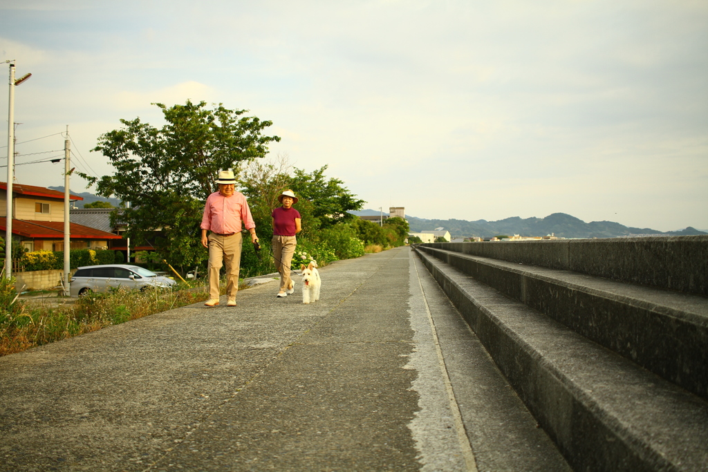 アビィちゃんがお散歩中