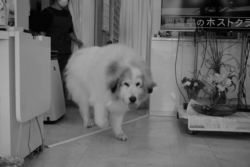 モノクロ＠2020‐06‐03