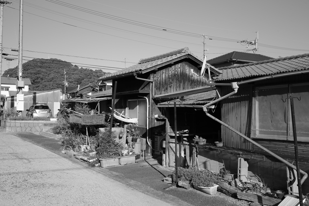 久しぶりのEF40mmにて