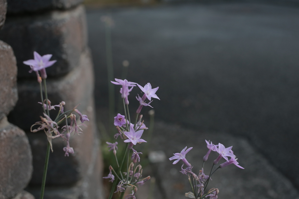 朝＠2020‐08‐10