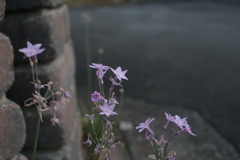 朝＠2020‐08‐10