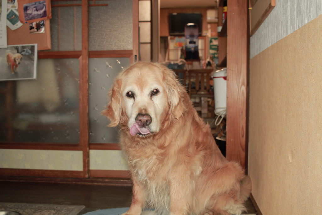 この場所で営業最終日のみゅうちゃん