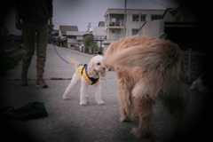 ホルガトイレンズにて