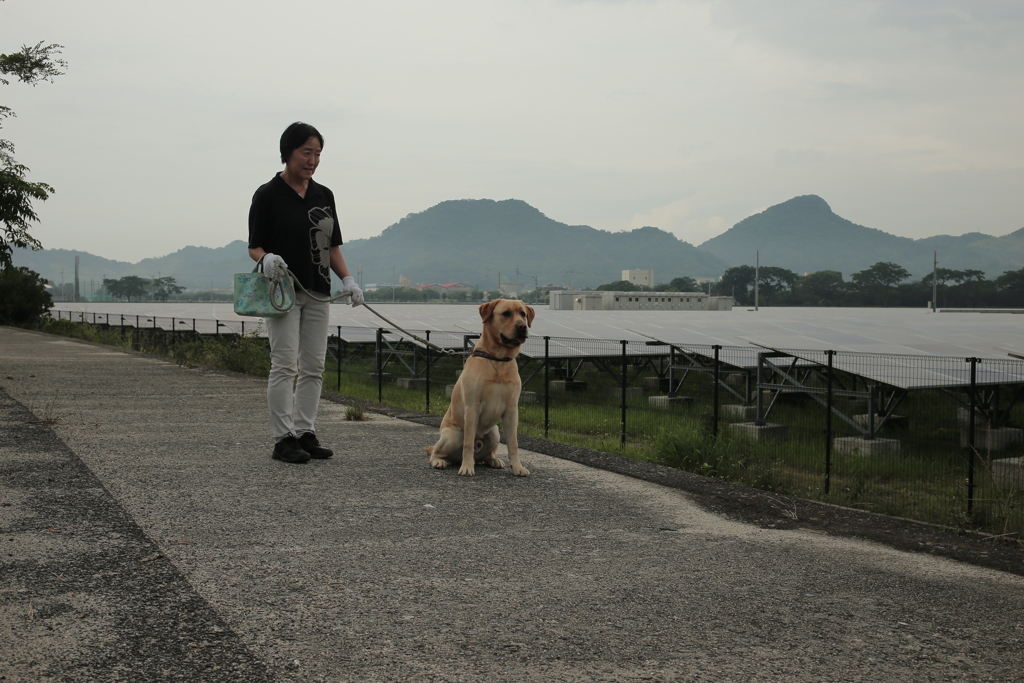 このあと猛突進してくるサーブ