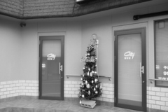 朝＠2020‐11‐30