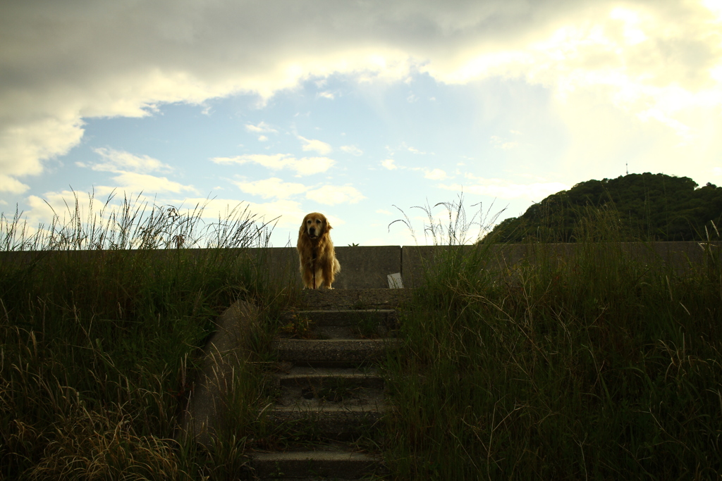 みゅうちゃんが下りてこない