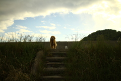 みゅうちゃんが下りてこない