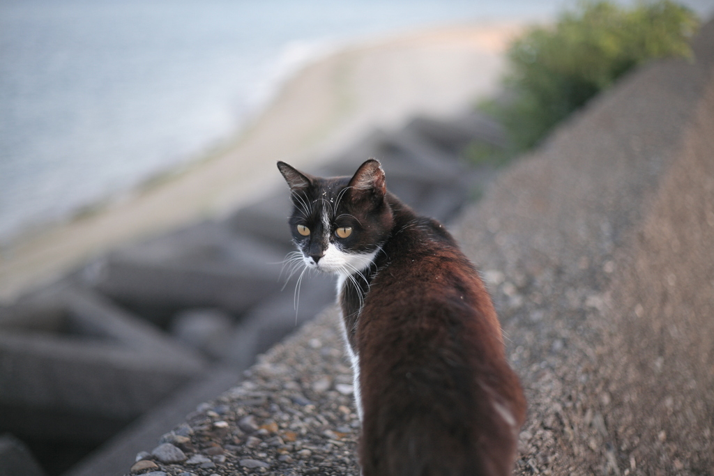 ＠2020‐07‐01朝