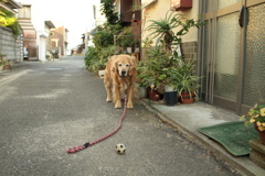 11-12の写真表示がおかしいので再掲