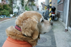 みゅうちゃん＠北条水軍ユースホステル