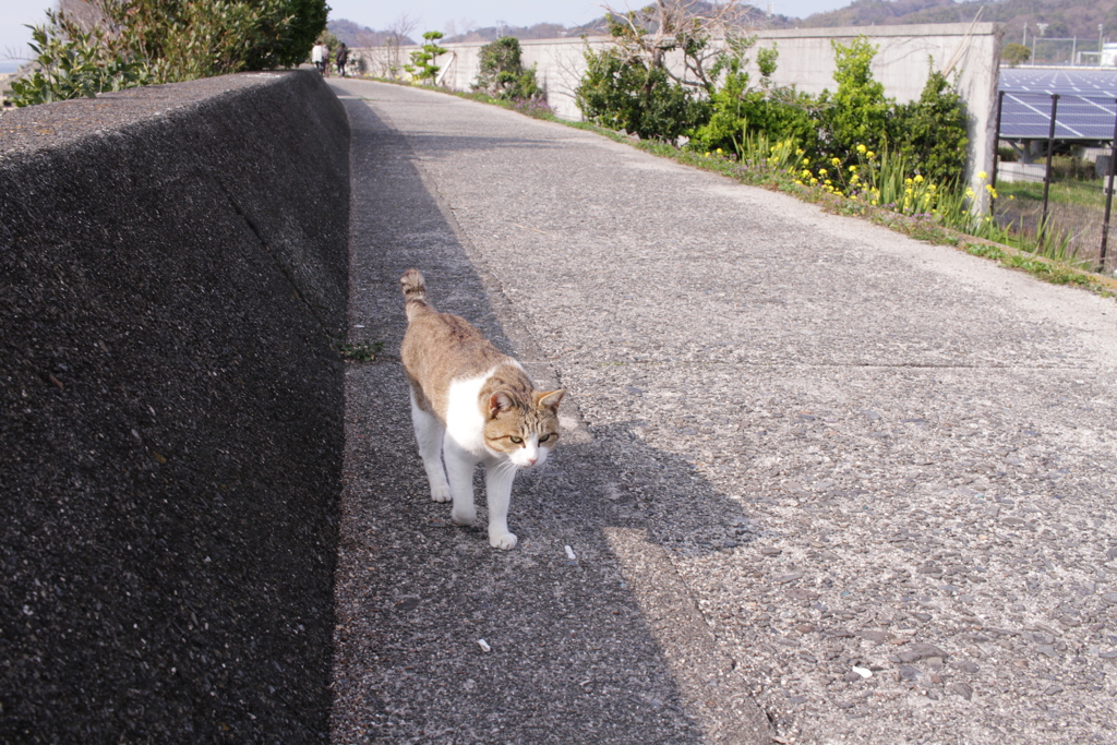 あったかい＠2019-03-21