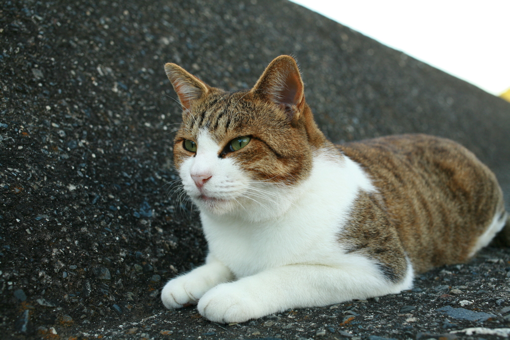 日曜＠2019‐10‐13