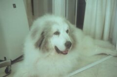 Kodac ColorPlus200にて