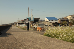 モクちゃんと会長さん