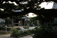 目が写ってないと写真じゃないって思ってたけど