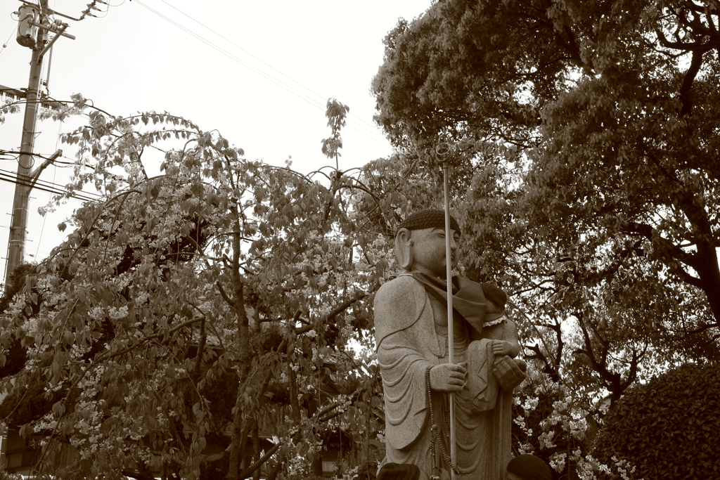 法然寺（ほうねんじ）にて