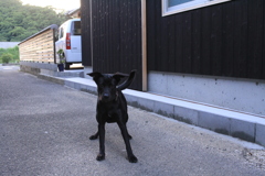 大阪から来てるポッチちゃん