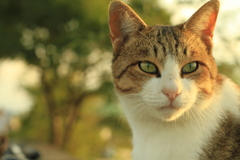 50mm離れないといけないけどかっこ良く写るな