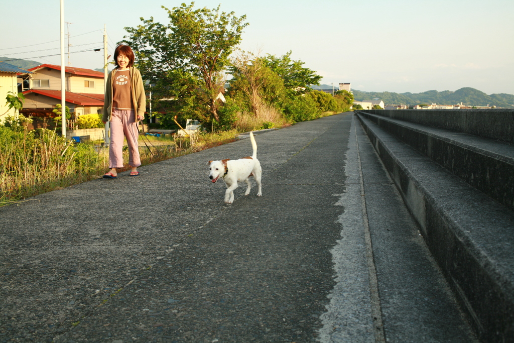 散歩してるククルちゃん