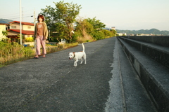 散歩してるククルちゃん