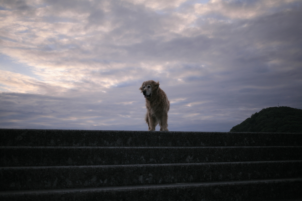 まだ浜にいたいみゅうちゃん
