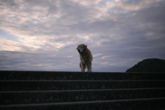 まだ浜にいたいみゅうちゃん