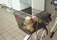 成人の日の朝　Trip35にて