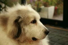 @2019-07-29