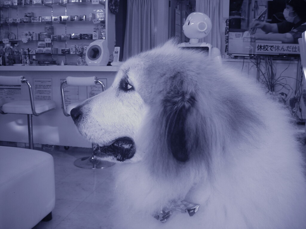 @2020‐03‐02