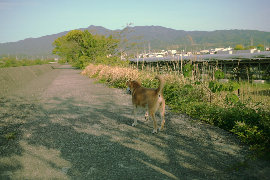 まんまん丸見えのモモちゃん