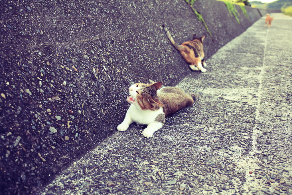 retouched@2019-08-13