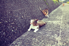 retouched@2019-08-13