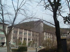 学生時代京都の写真　2004年ころ