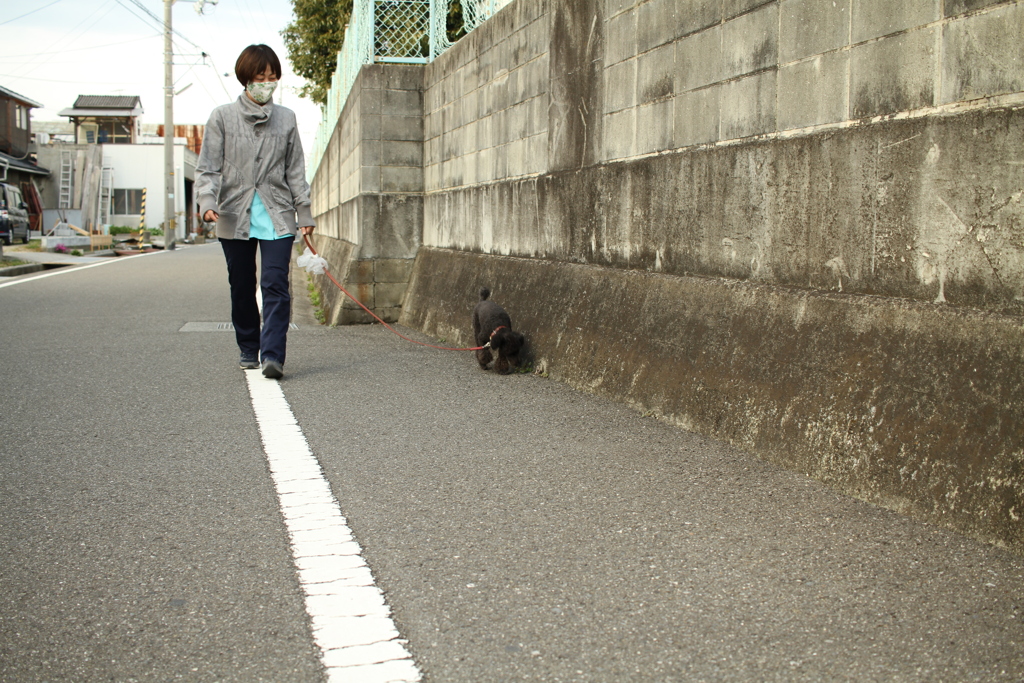 お母さんと散歩してるメロンちゃん