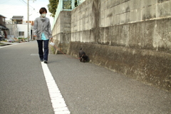 お母さんと散歩してるメロンちゃん