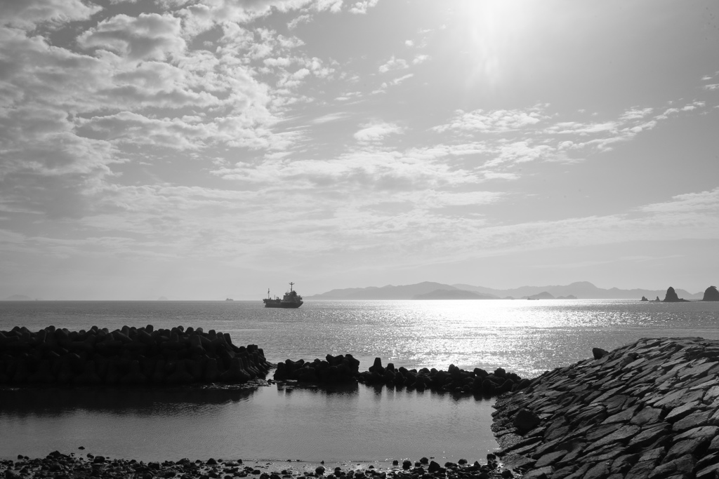 船が長期休暇なのかずっと停泊してる