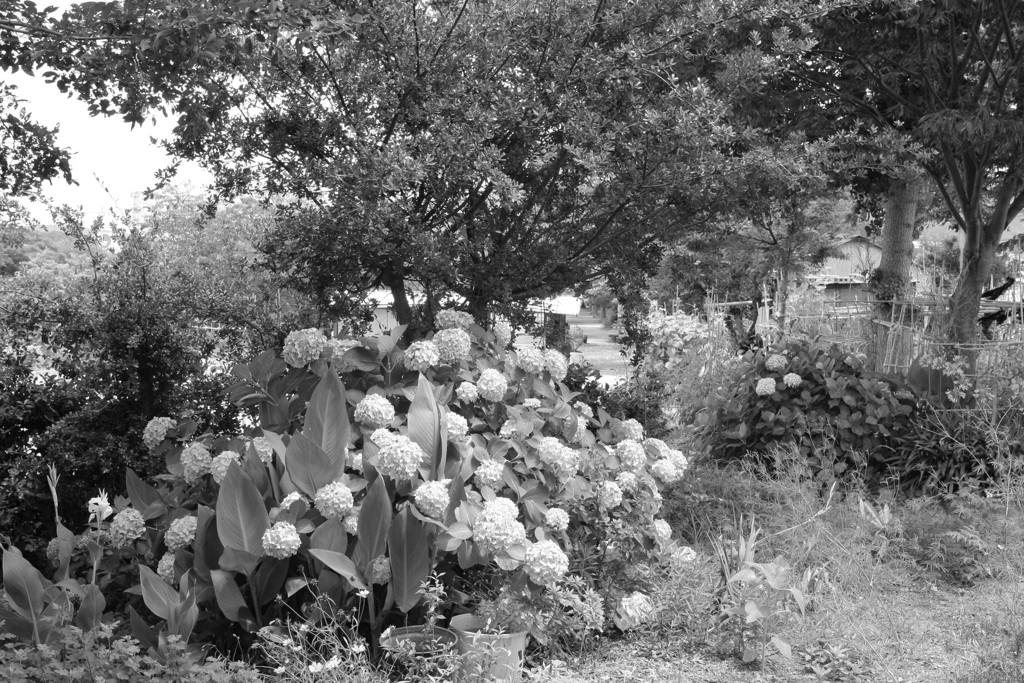 表はまだ適度に涼しい