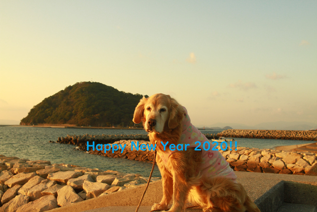 みゅうちゃん　正月バージョン