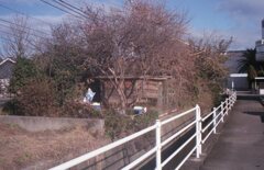 NewCanonet28,真の実力を発揮!(^^)!