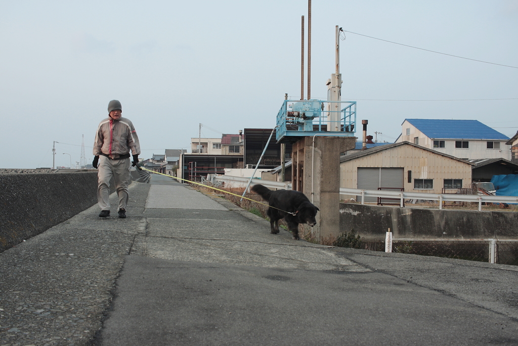 ラブちゃんがお散歩中