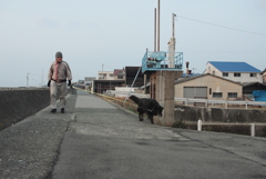ラブちゃんがお散歩中