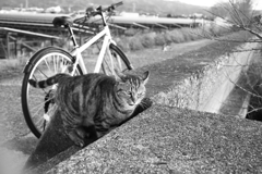 昨日のモノクロ