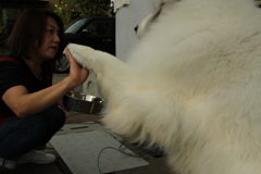 お姉さんにイェイをするココさん