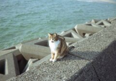 Trip35にて近所写真