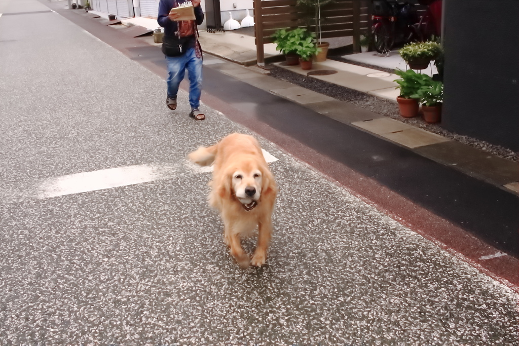 シャープネスぎらっぎらに上げたら