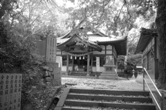 何の願い事もないけどカジュアルに参拝