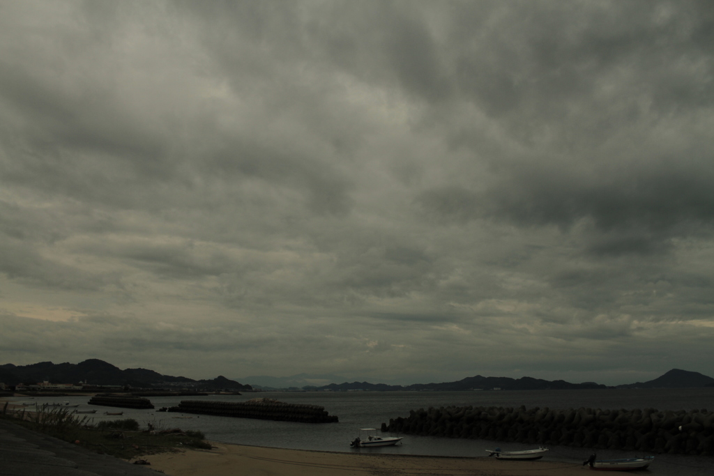 タイフーンイズカミング