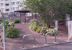 フィルムカメラEos650にて