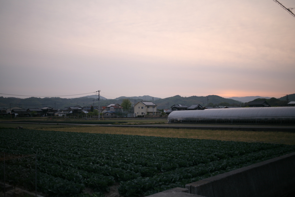 新しい朝が来た、火曜の朝だ