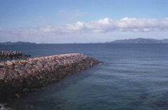 NewCanonet28,真の実力を発揮!(^^)!